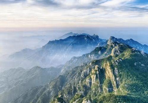 九华山导游爆料视频大全  第1张